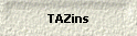 TAZins